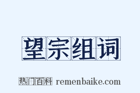 望宗组词是什么意思的图片